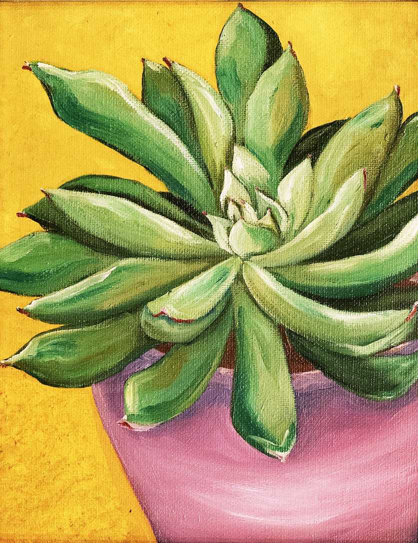 Cactus in vase