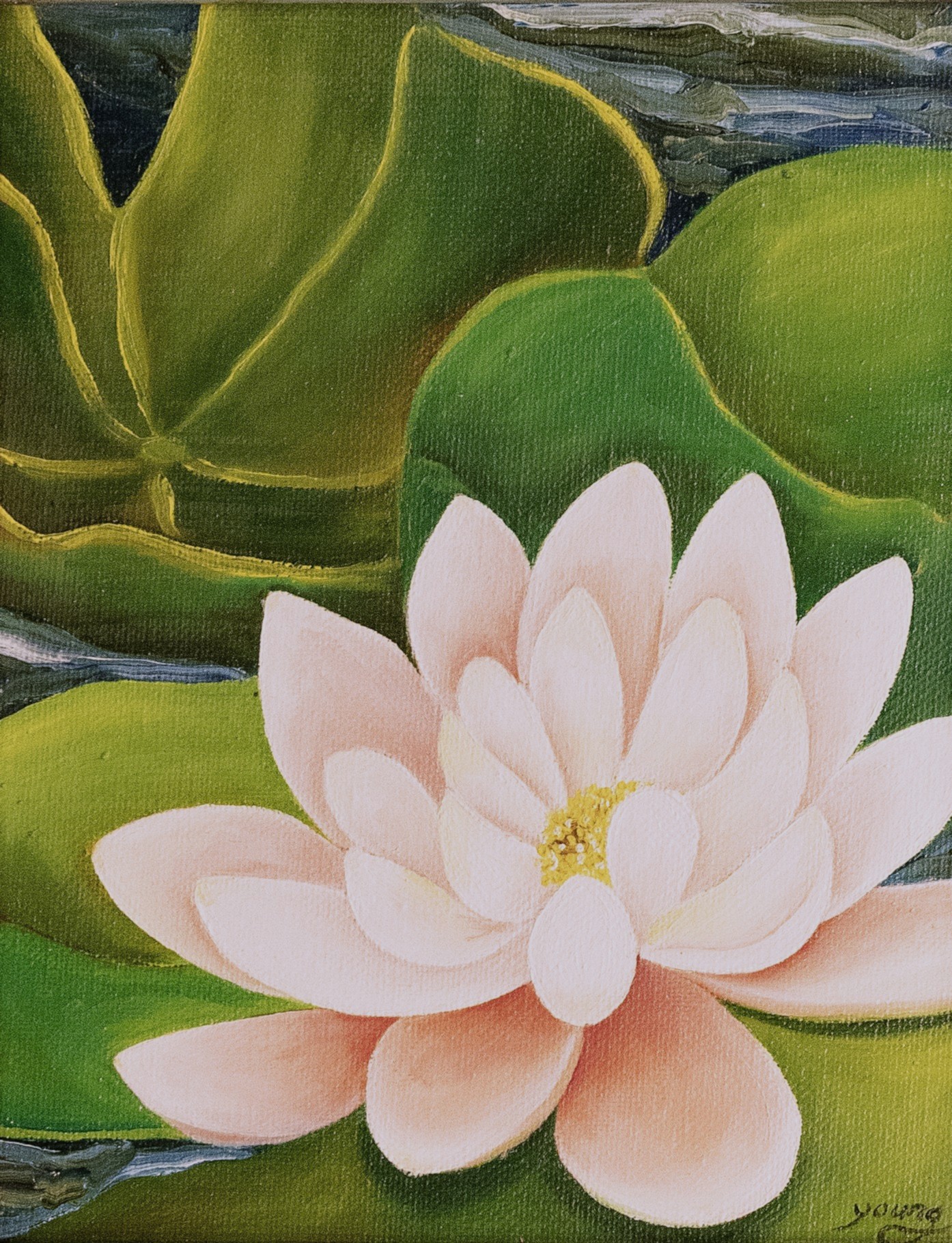 Flower-11